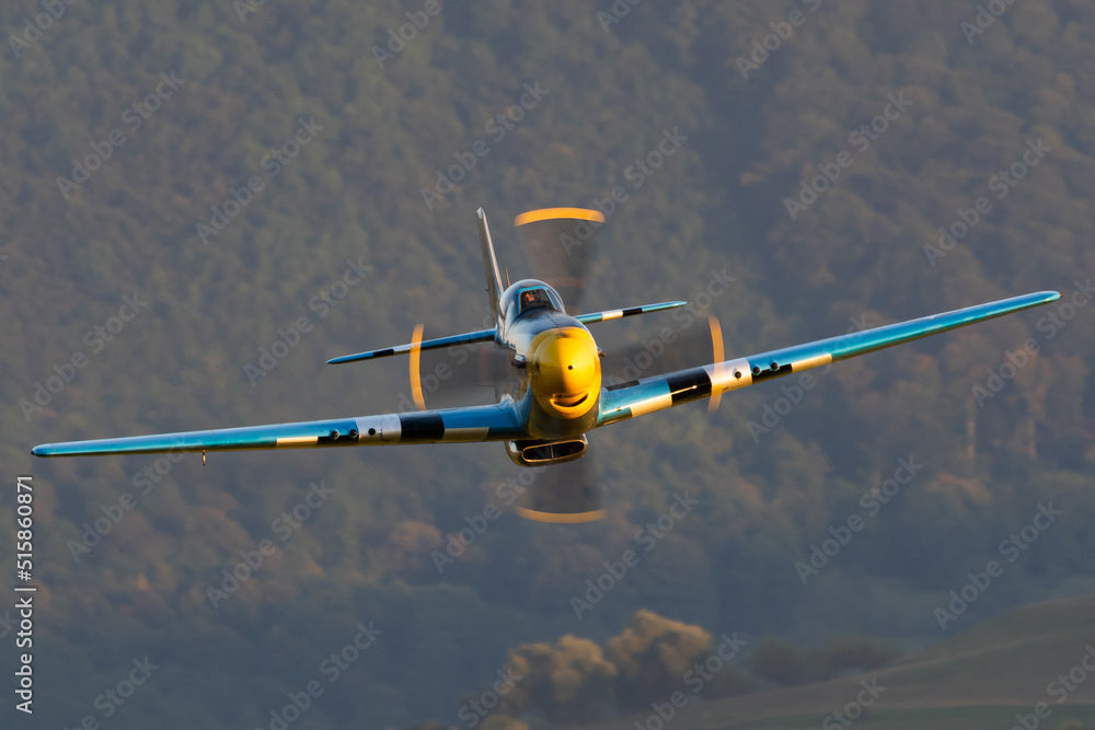 P-51 Mustang Collection