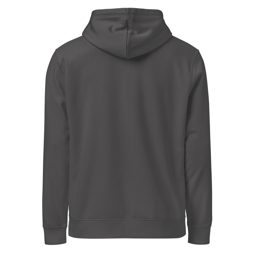 Legendary P-51 Mustang Aviation Graphic | Organic Unisex Hoodie