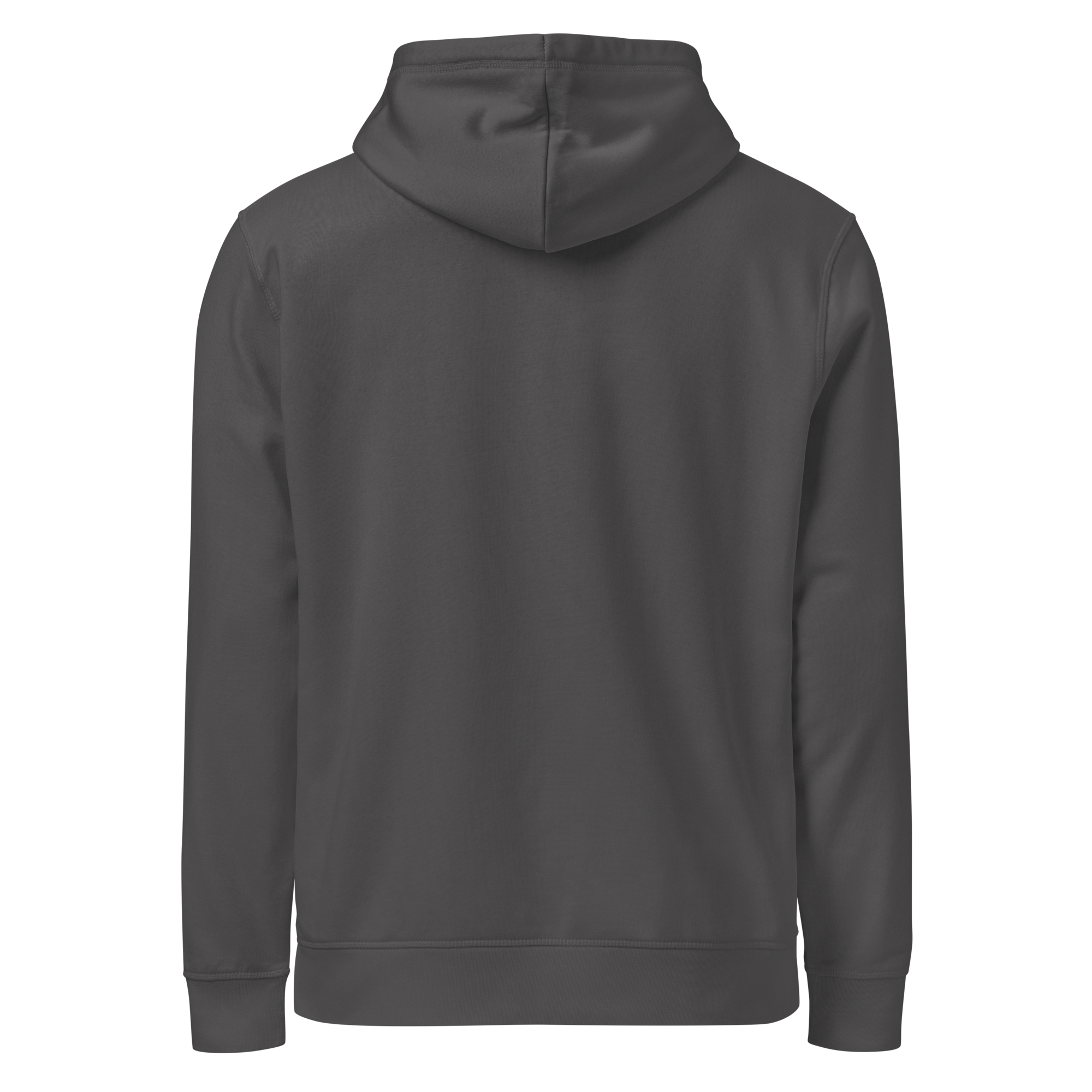Legendary P-51 Mustang Aviation Graphic | Organic Unisex Hoodie