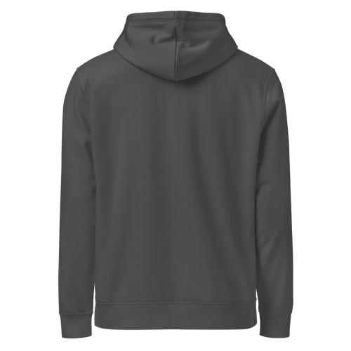Legendary P-51 Mustang Aviation Graphic | Organic Unisex Hoodie