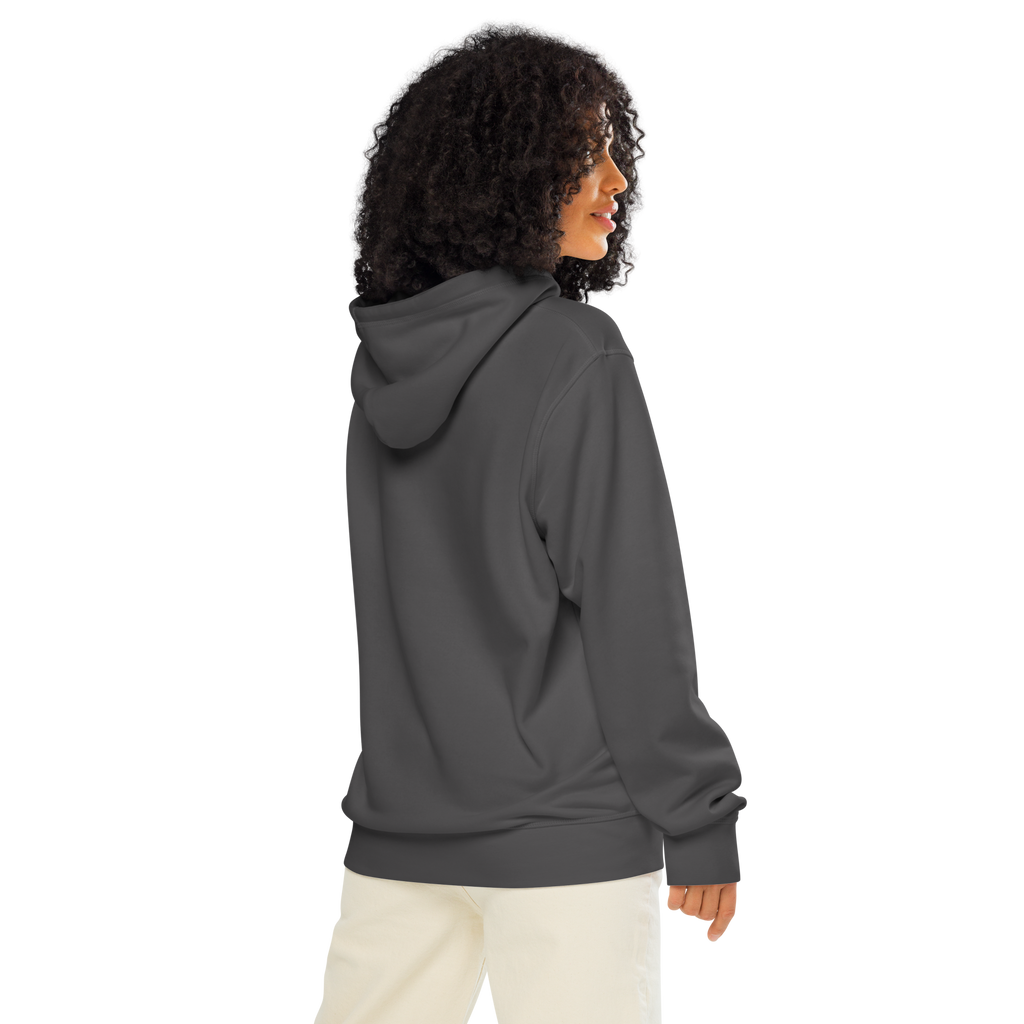 Legendary P-51 Mustang Aviation Graphic | Organic Unisex Hoodie