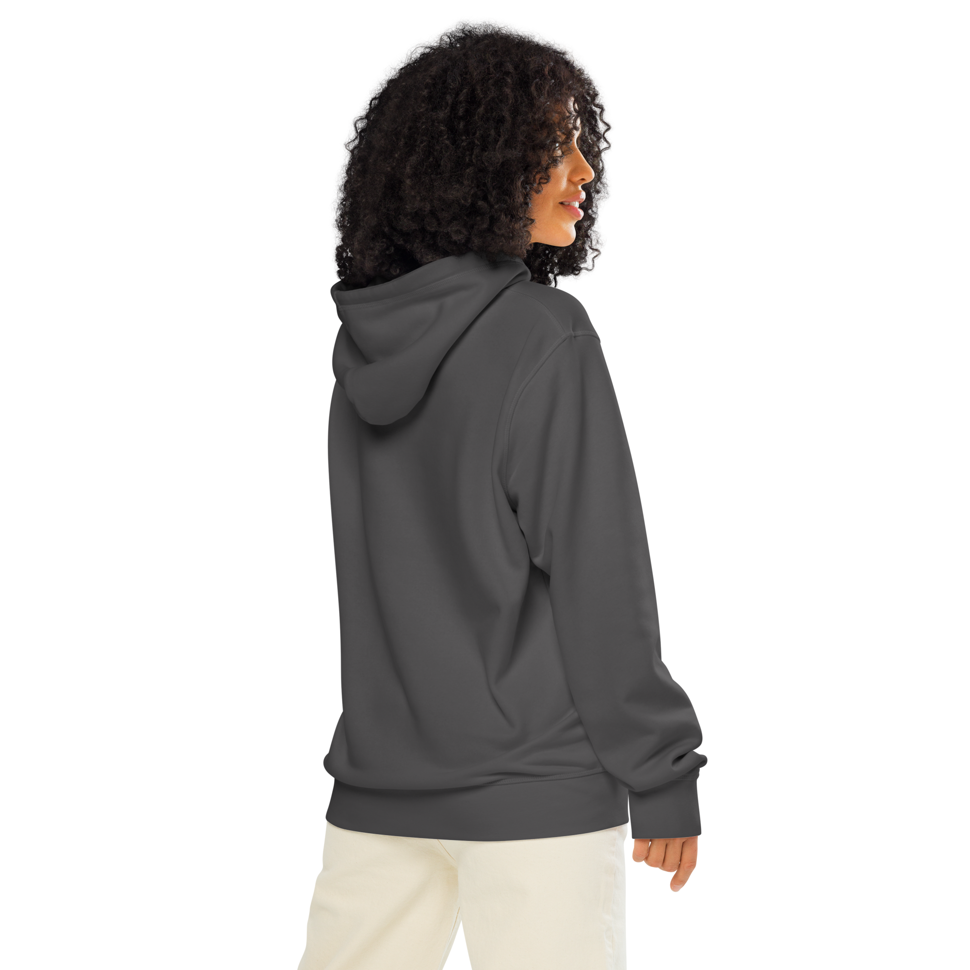 Legendary P-51 Mustang Aviation Graphic | Organic Unisex Hoodie