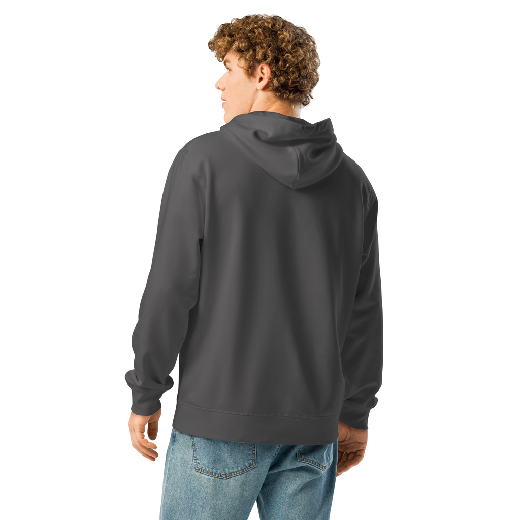 Legendary P-51 Mustang Aviation Graphic | Organic Unisex Hoodie