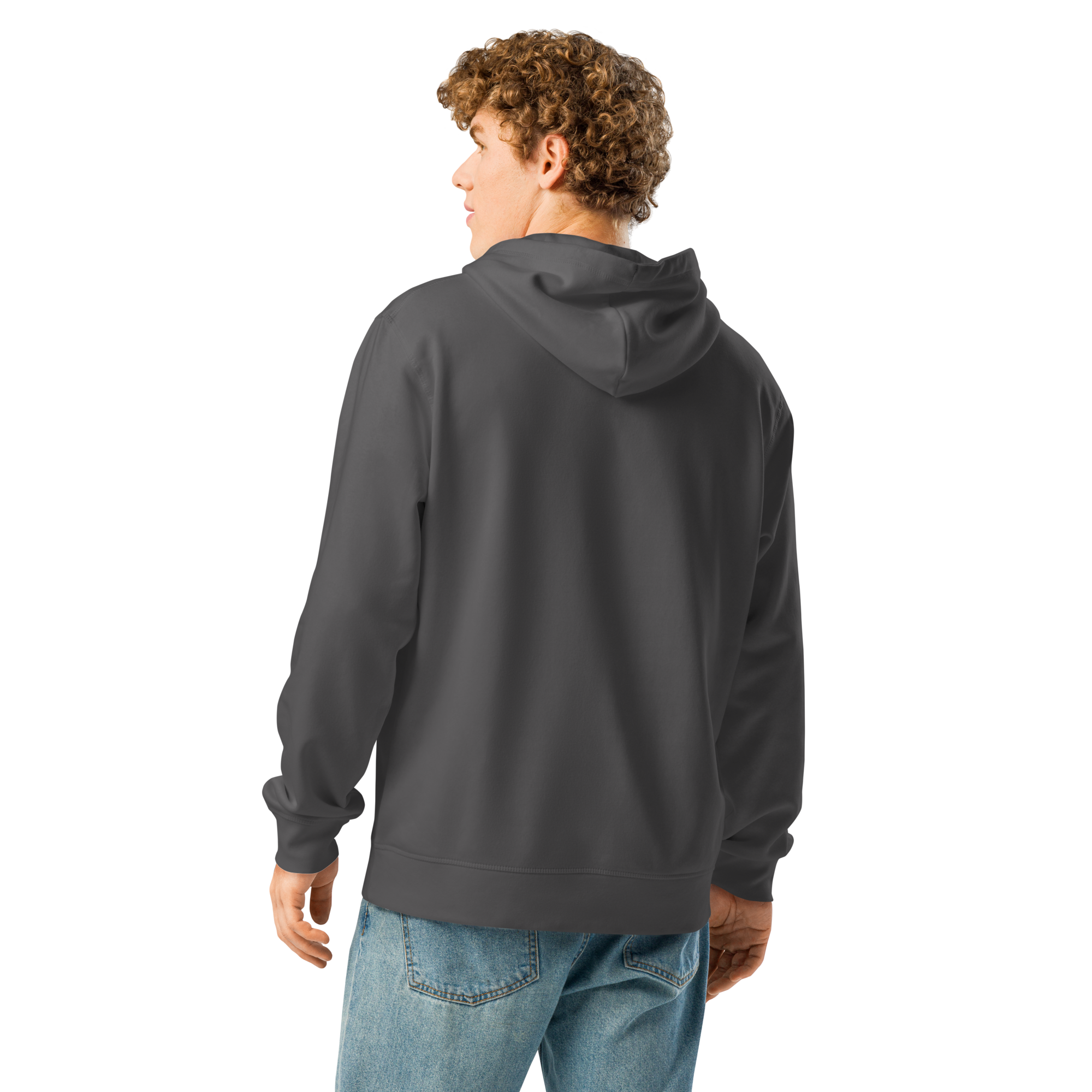 Legendary P-51 Mustang Aviation Graphic | Organic Unisex Hoodie