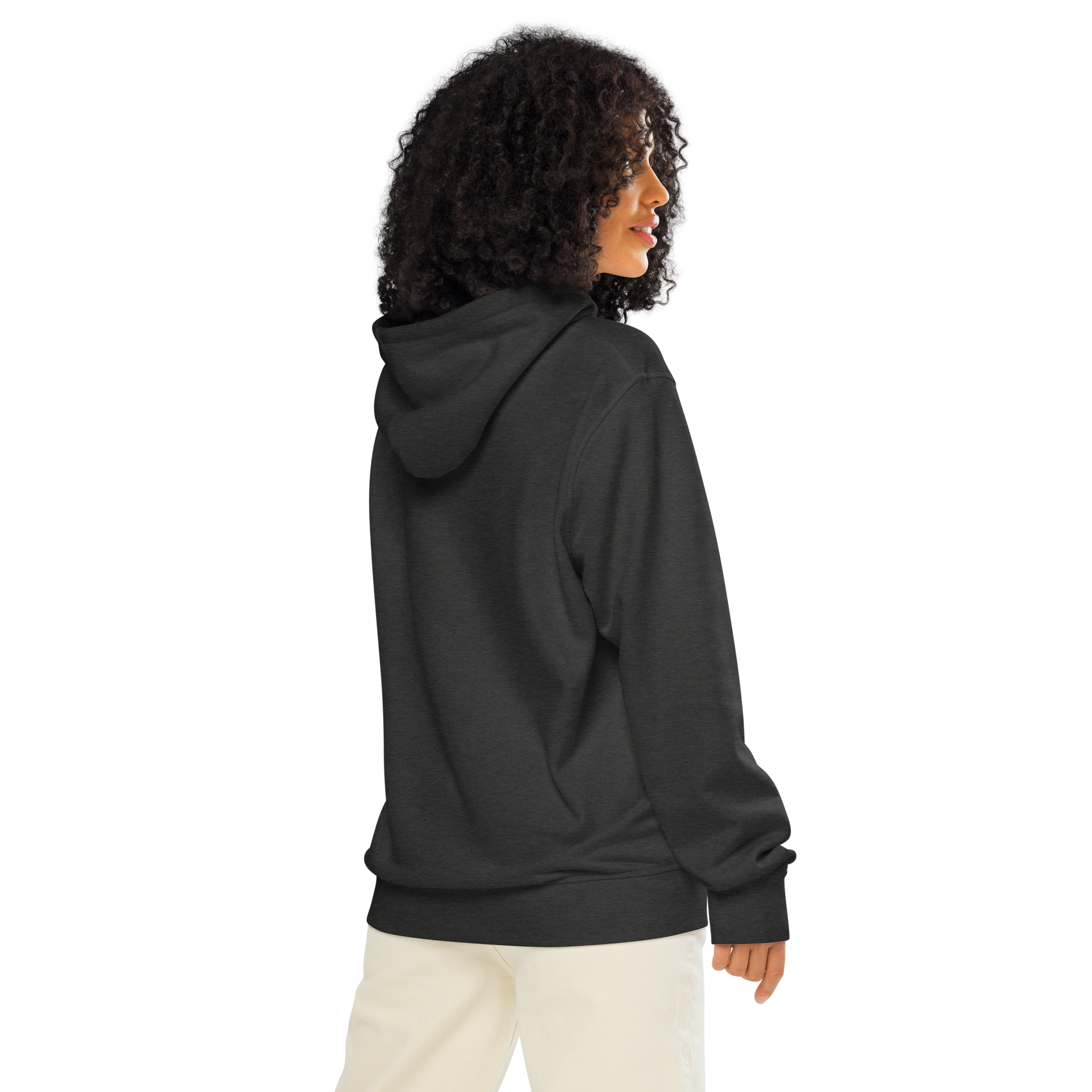 Iconic Vought F4U Corsair Aviation Graphic | Organic Unisex Hoodie